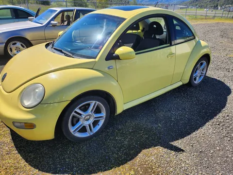 2002 Volkswagen Beetle