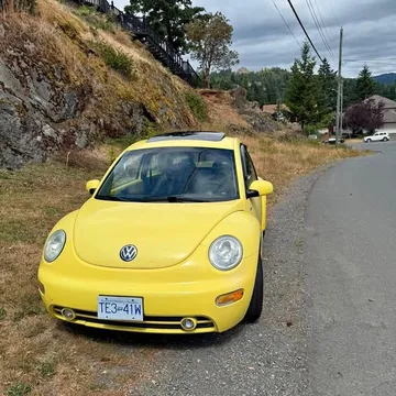 2002 Volkswagen Beetle