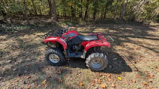 2002 Yamaha grizzly 660