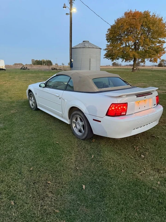 2002 Ford SN95 Mustang - Image 5 of 8