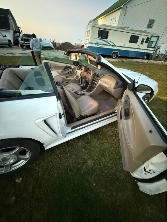 2002 Ford SN95 Mustang - Image 2 of 8