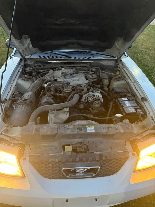 2002 Ford SN95 Mustang - Image 8 of 8