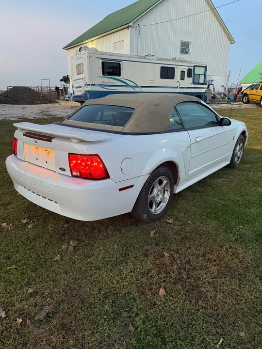 2002 Ford SN95 Mustang - Image 4 of 8
