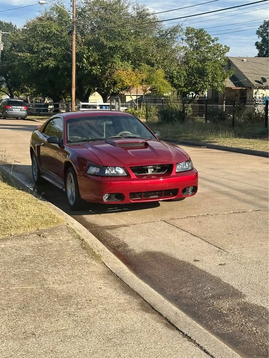 2002 Ford SN95 Mustang - Image 3 of 8
