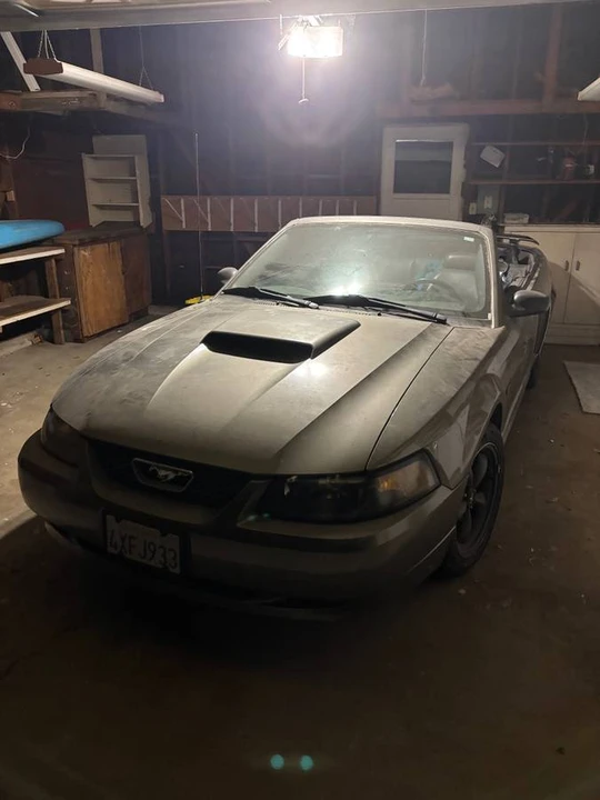 2002 Ford SN95 Mustang - Image 4 of 4