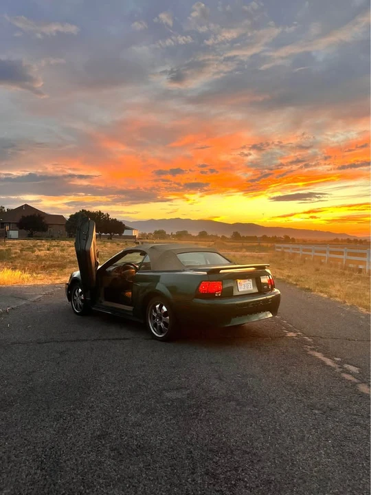 2002 Ford SN95 Mustang - Image 2 of 5