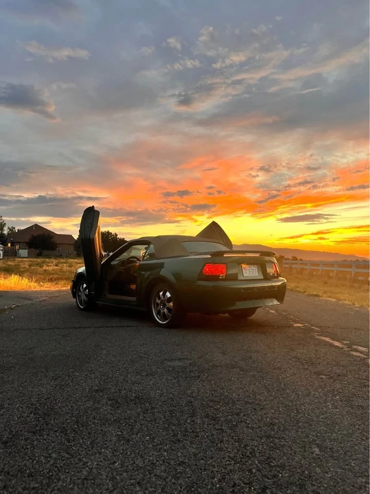 2002 Ford SN95 Mustang - Image 3 of 5