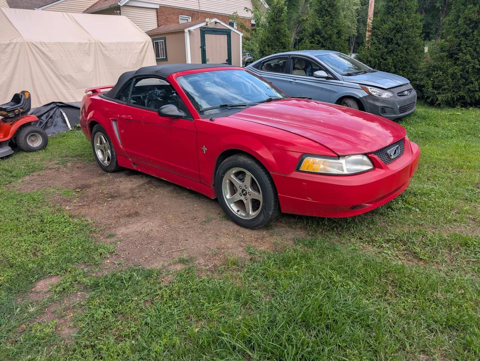 2002 Ford SN95 Mustang - Image 3 of 13