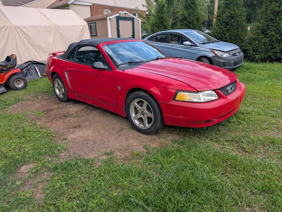 2002 Ford SN95 Mustang - Image 4 of 13