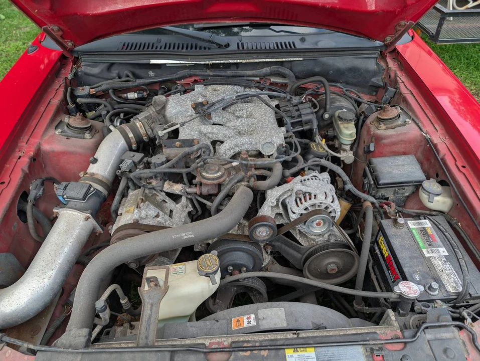 2002 Ford SN95 Mustang - Image 12 of 13