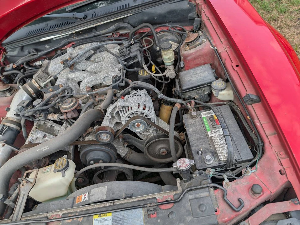 2002 Ford SN95 Mustang - Image 13 of 13