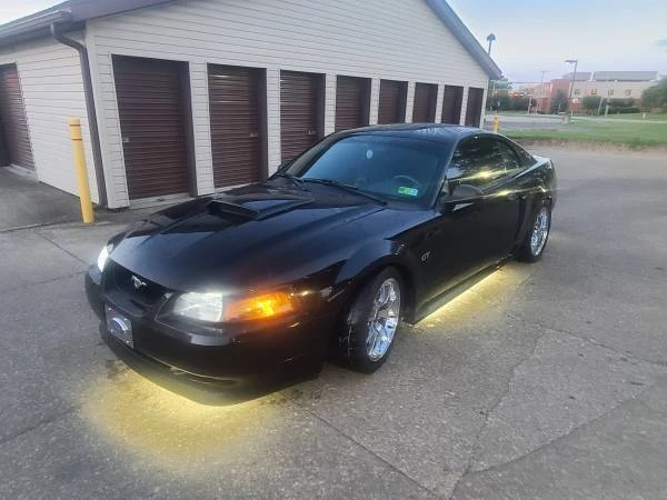 2002 Ford SN95 Mustang - Image 5 of 8
