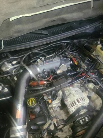 2002 Ford SN95 Mustang - Image 8 of 8