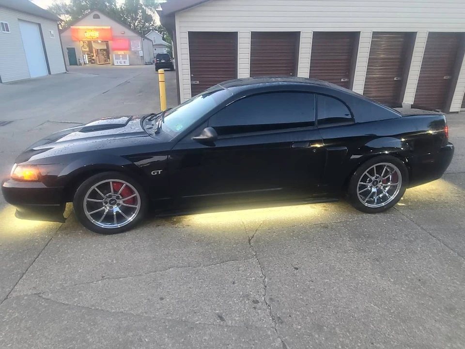 2002 Ford SN95 Mustang - Image 4 of 10