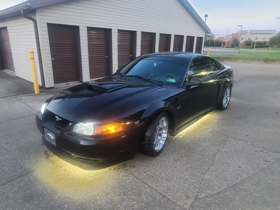 2002 Ford SN95 Mustang - Image 2 of 10