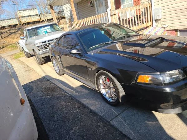 2002 Ford SN95 Mustang - Image 3 of 6