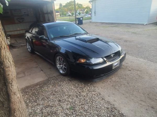 2002 Ford SN95 Mustang - Image 2 of 5
