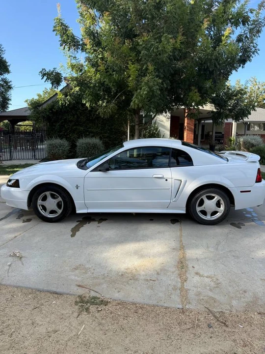 2002 Ford SN95 Mustang - Image 6 of 22