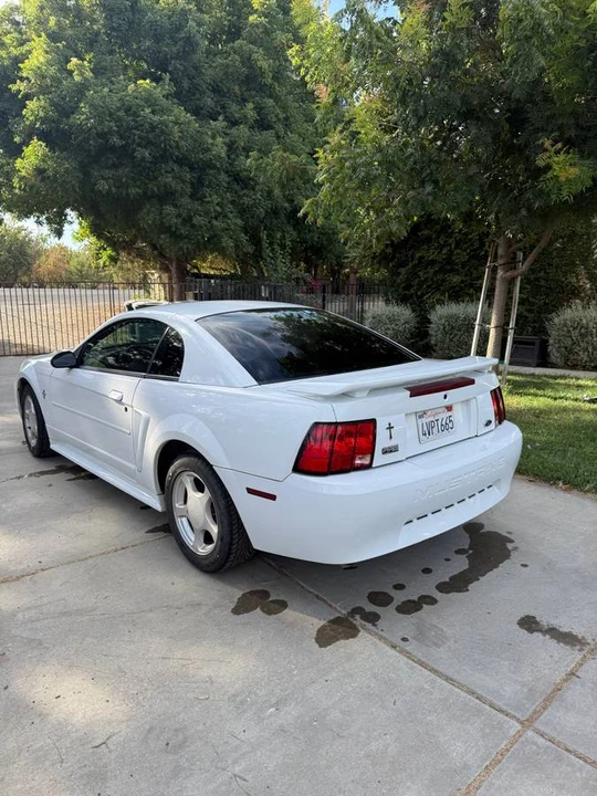 2002 Ford SN95 Mustang - Image 3 of 22
