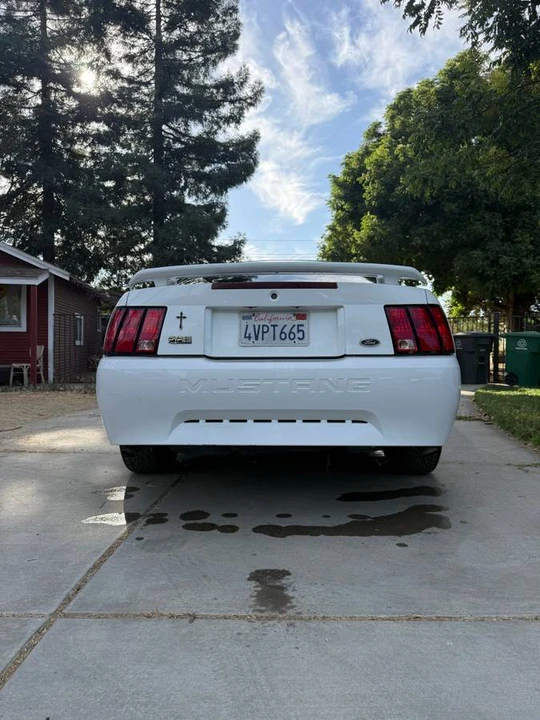 2002 Ford SN95 Mustang - Image 4 of 22