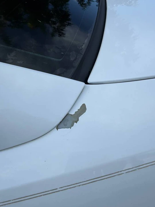 2002 Ford SN95 Mustang - Image 8 of 22