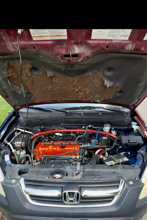 2003 Honda CR-V 2nd Gen - Image 10 of 17