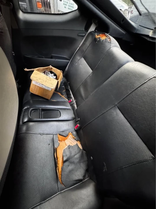 2003 Acura RSX - Image 6 of 7