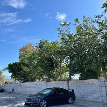 2003 Acura RSX Sport Coupe 2D