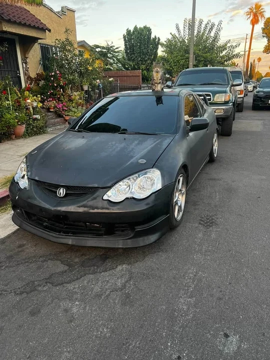 2003 Acura RSX Type-S - Image 2 of 5