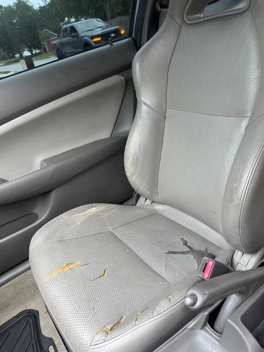 2003 Acura Integra 4th Gen - Image 7 of 14