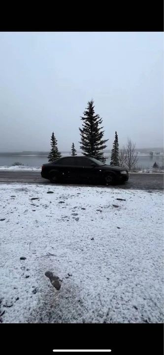 2003 Audi B6 A4 - Image 8 of 9