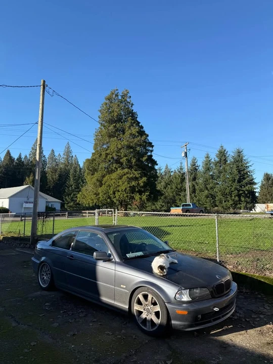 2003 BMW E46 3 Series - Image 6 of 9