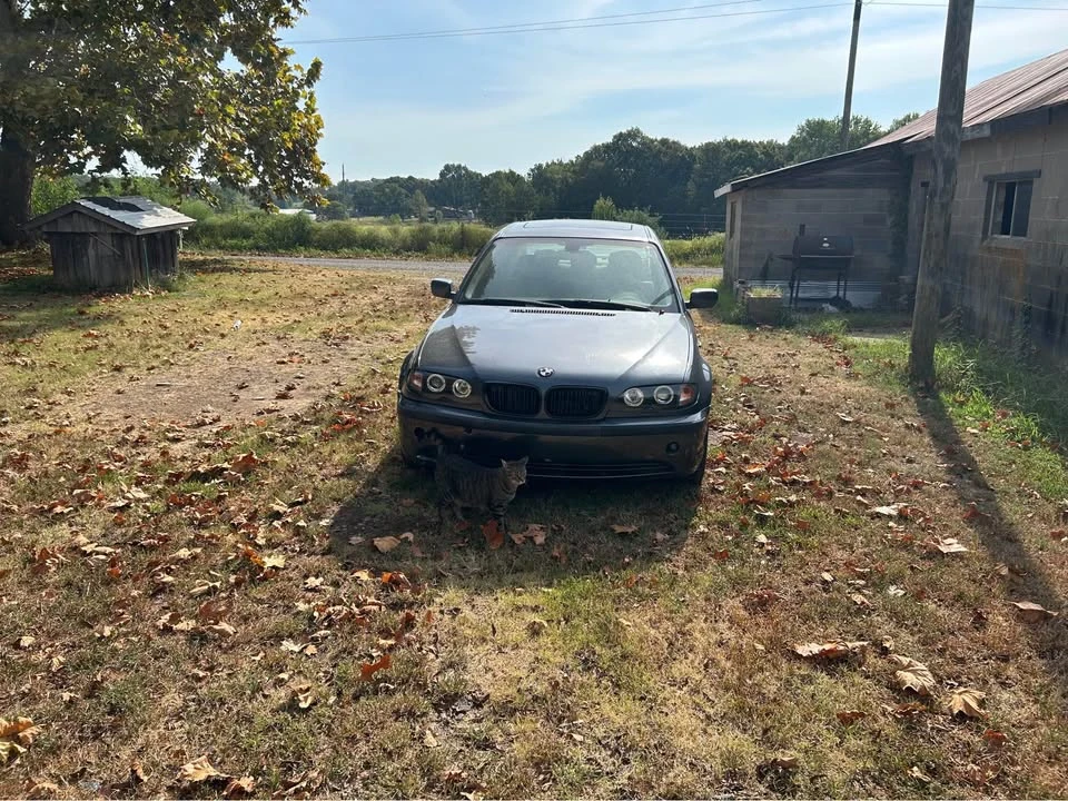 2003 BMW E46 3 Series - Image 3 of 12