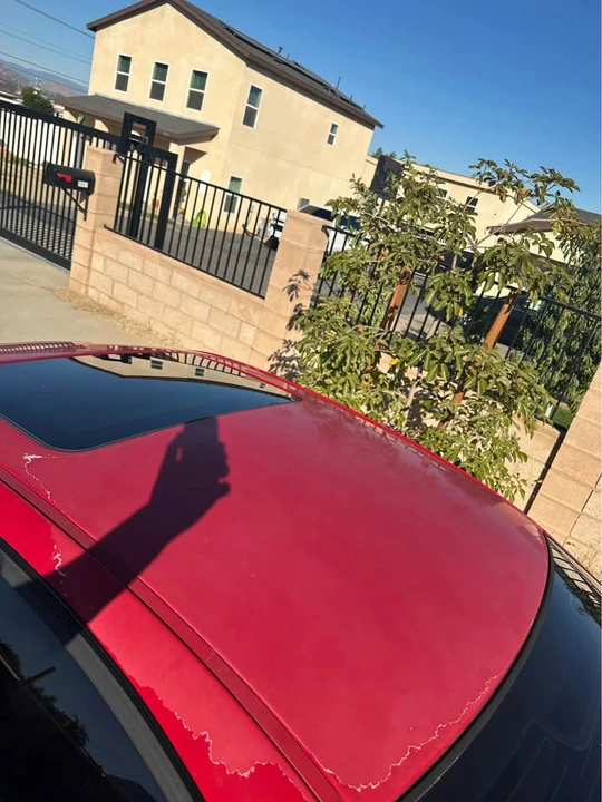 2003 BMW E46 330i & 330Ci - Image 8 of 10