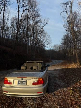 2003 BMW E46 3 Series - Image 13 of 20