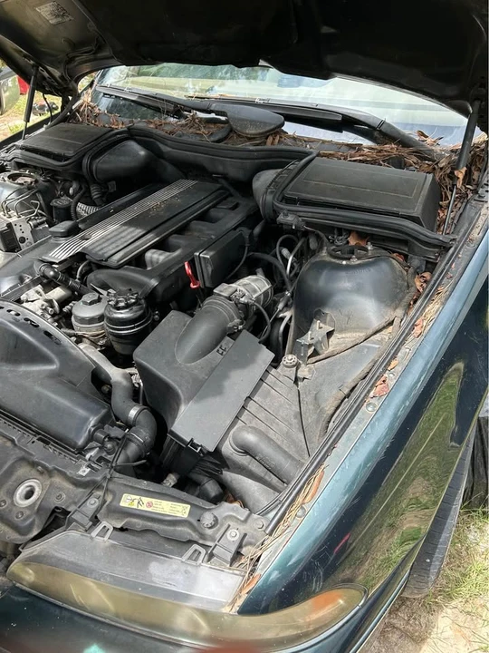 2003 BMW E39 5 Series - Image 2 of 5