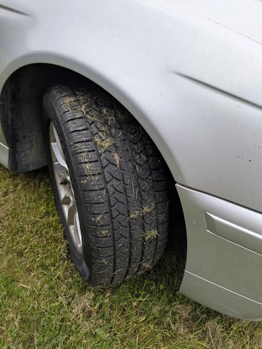 2003 BMW E39 5 Series - Image 6 of 7