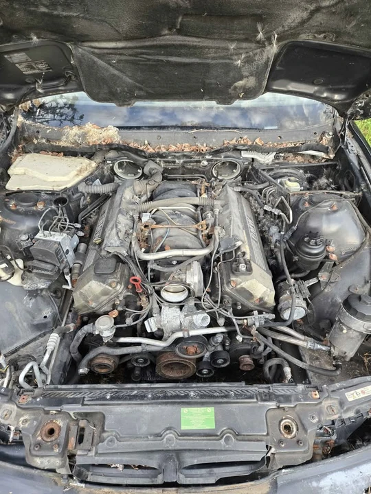 2003 BMW E39 5 Series - Image 2 of 3
