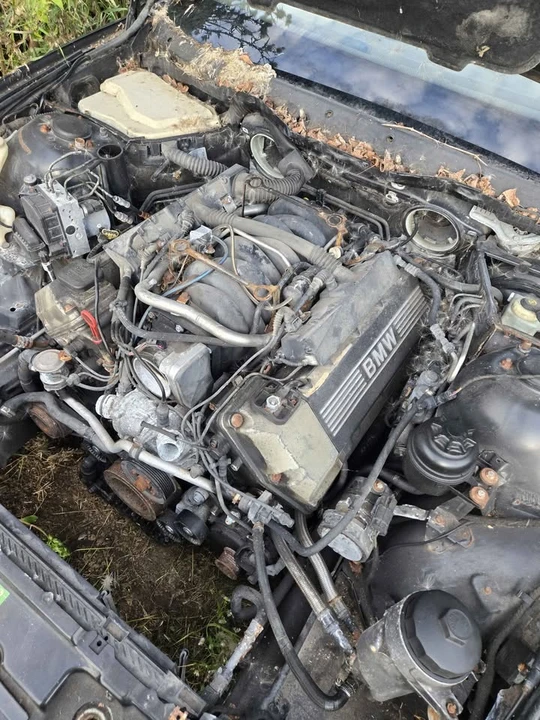 2003 BMW E39 5 Series - Image 3 of 3