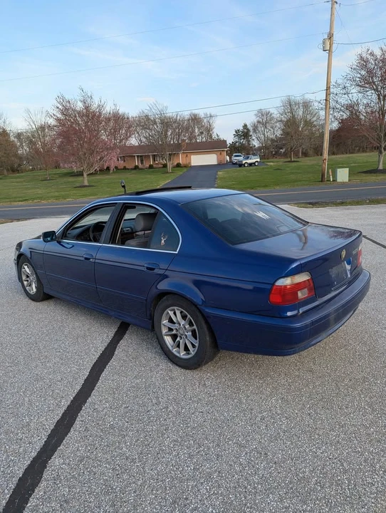 2003 BMW E39 5 Series - Image 7 of 12