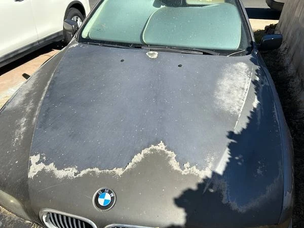 2003 BMW E39 5 Series - Image 7 of 10