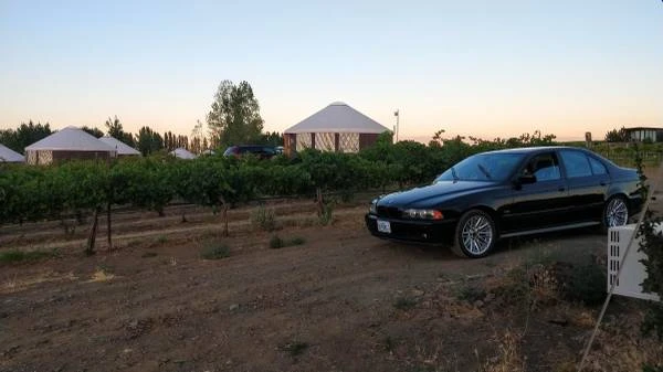 2003 BMW E39 5 Series - Image 2 of 4