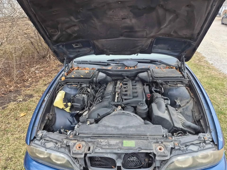 2003 BMW E39 5 Series - Image 10 of 10