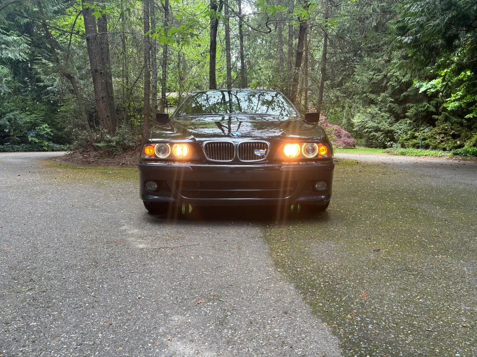 2003 BMW E39 540i - Image 11 of 31