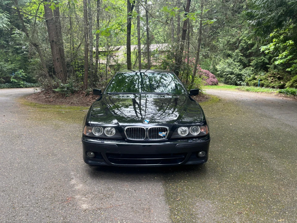 2003 BMW E39 540i - Image 8 of 31