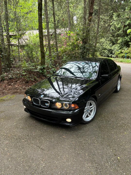 2003 BMW E39 540i - Image 16 of 31