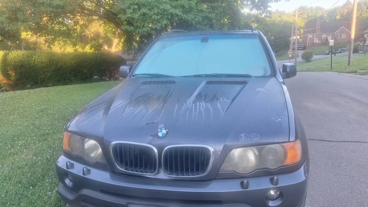 2003 BMW E53 X5 - Image 3 of 4