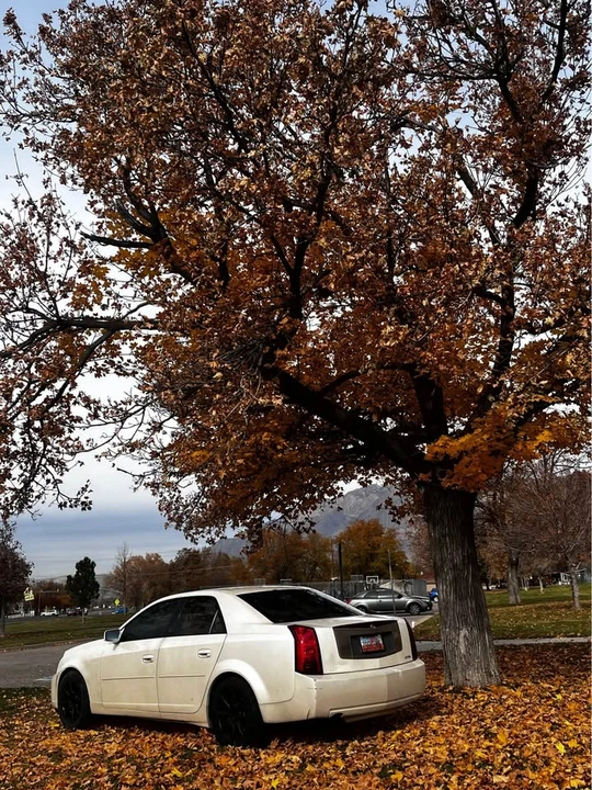2003 Cadillac CTS 1st Gen - Image 2 of 10