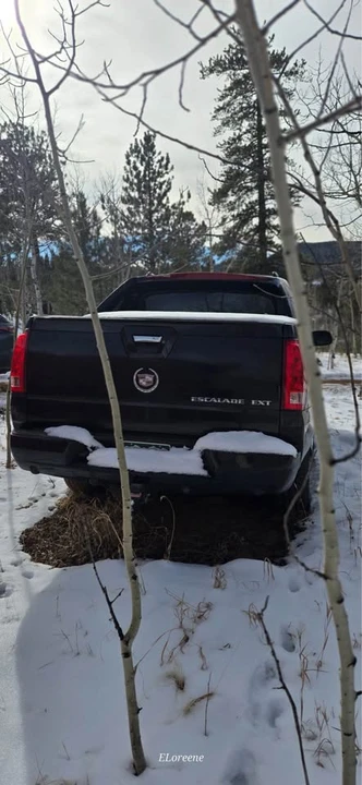 2003 Cadillac Escalade & EXT 2nd Gen - Image 12 of 12