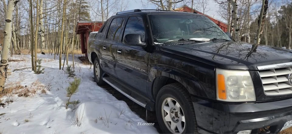 2003 Cadillac Escalade & EXT 2nd Gen - Image 11 of 12